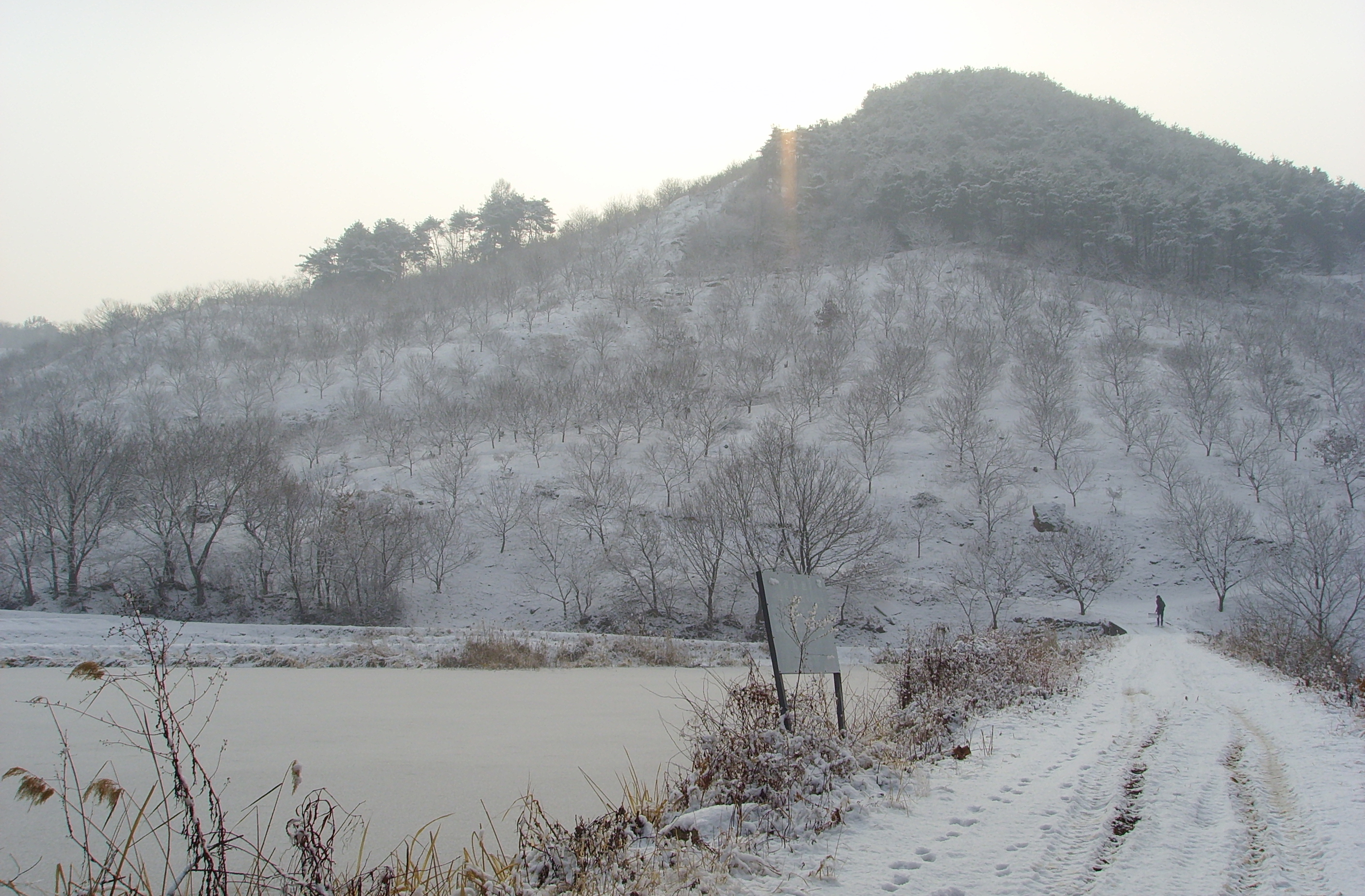 사용자 삽입 이미지