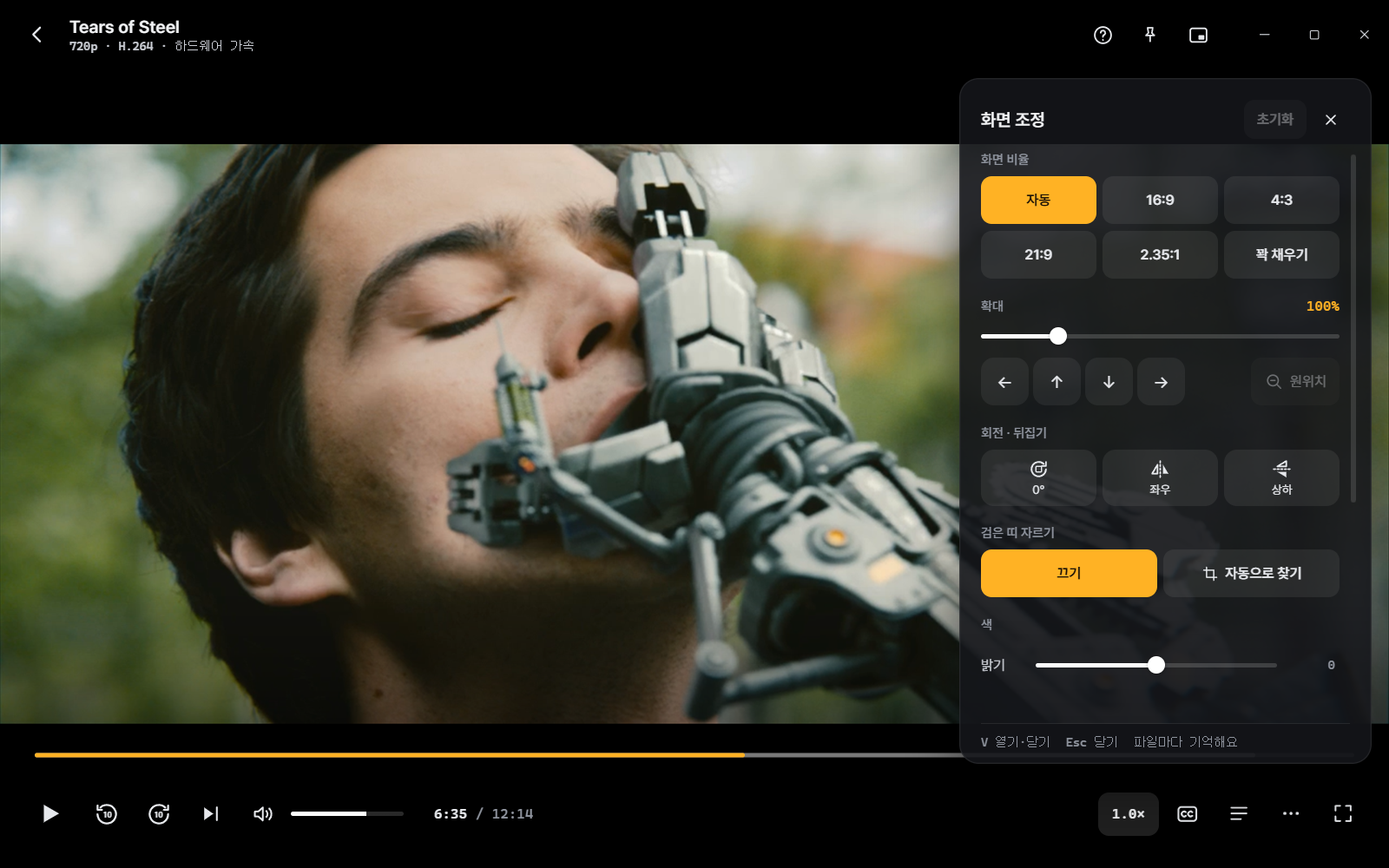 Flux Player 8.0 화면 조정 — 비율, 확대, 회전, 뒤집기, 검은 띠 자르기, 색
