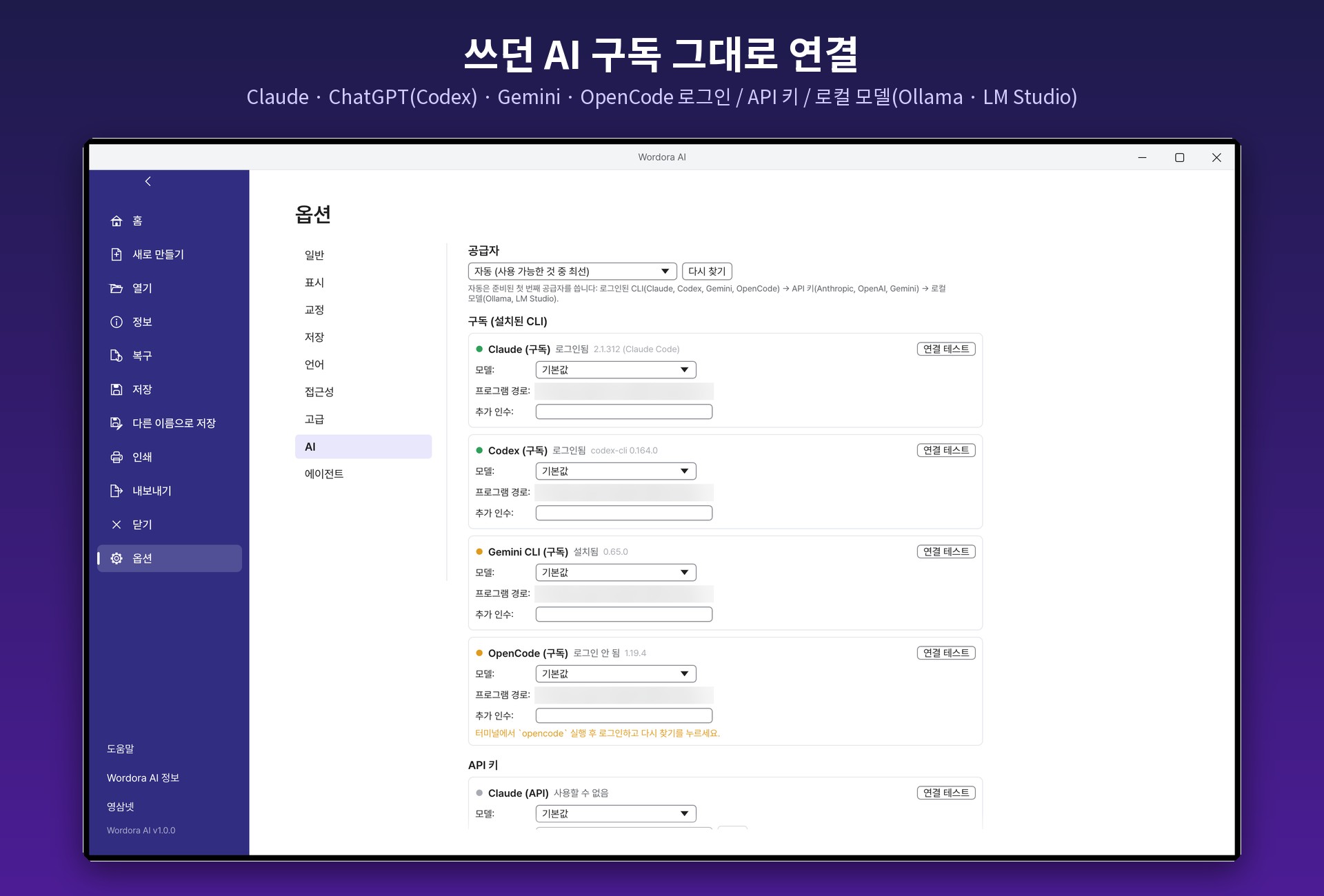 Wordora AI 옵션의 AI 연결 화면 — 구독 CLI, API 키, 로컬 모델 설정